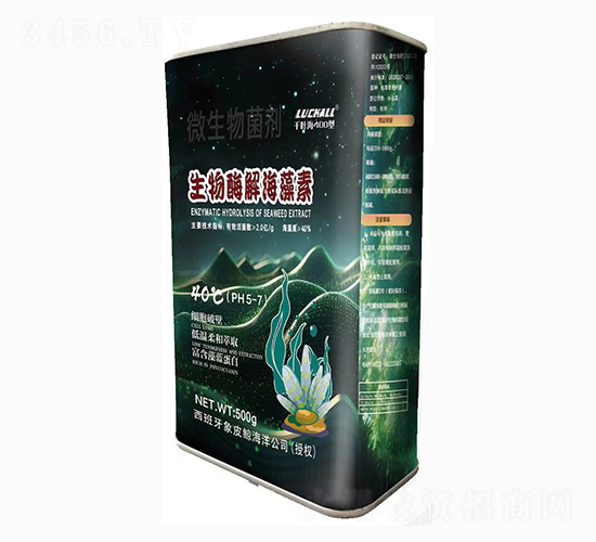 ����ø�⺣����-���{����-ǧ�~��400��-��˹�r