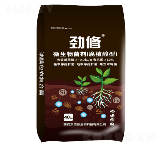 ��ֲ����΢�������-����-���ۃz����