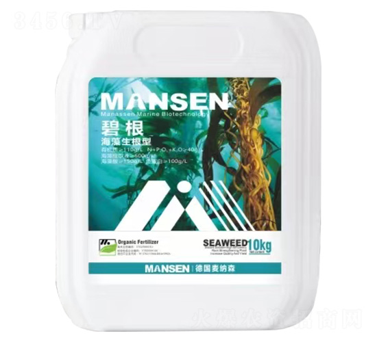 ���������͛_ʩ��-�̸�-���{ɭ