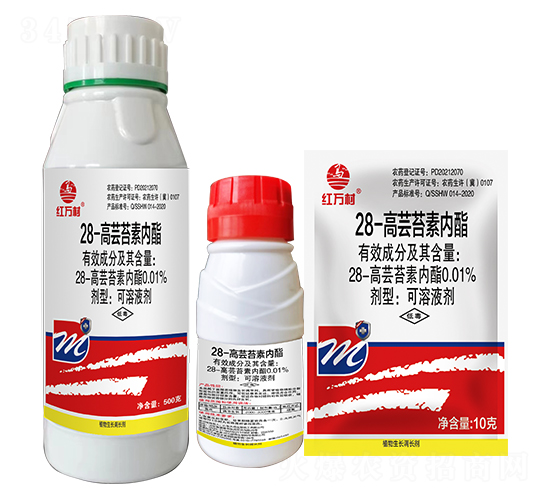 0.01%28-���|̦�؃�(n��i)��-�t�f(w��n)��-�l(xi��ng)�弾�L(f��ng)-���˹����r(n��ng)��