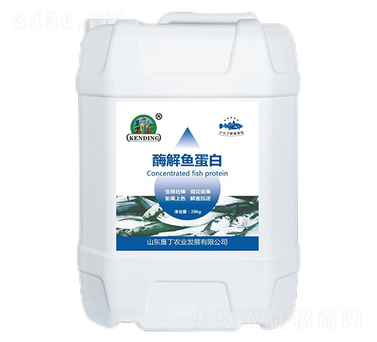 ø���~����-�����r(n��ng)�I(y��)