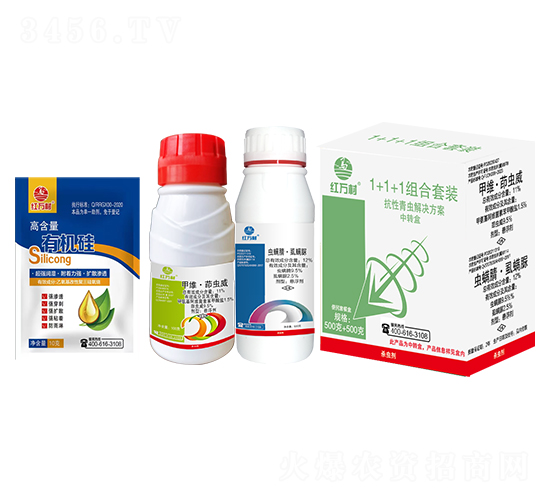 1+1�������x�M�����b-�t�f��-�l(xi��ng)�弾�L(f��ng)-���˹����r(n��ng)��