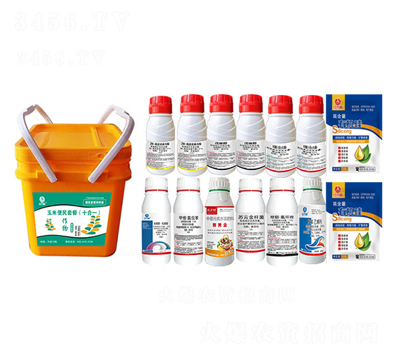 ���ױ����ײͣ�ʮ��һ��-�t�f��-�l(xi��ng)�弾�L(f��ng)-���˹����r(n��ng)��