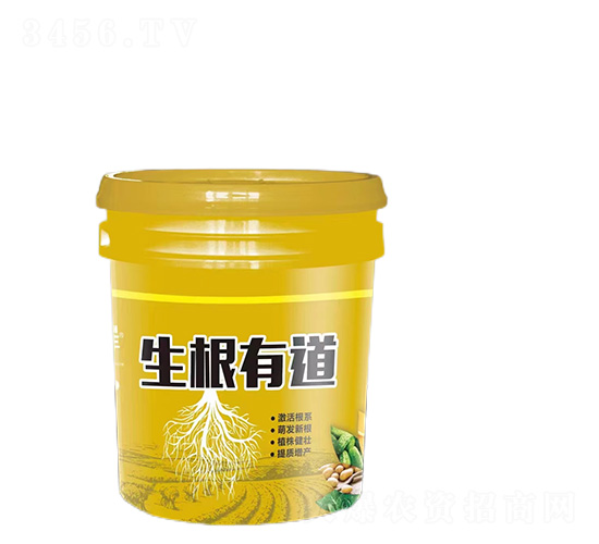 �����е�-�����S-�����_(d��)����