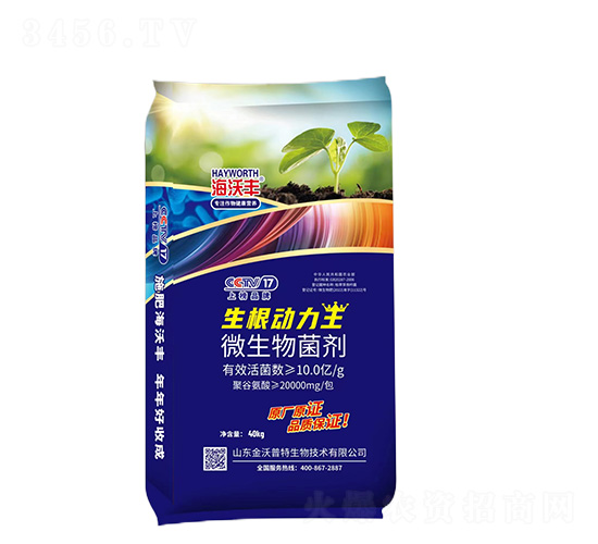 ΢�������-������(d��ng)����-�����S-�����_(d��)����