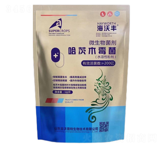 ����ľù��-�����S-�����_(d��)����