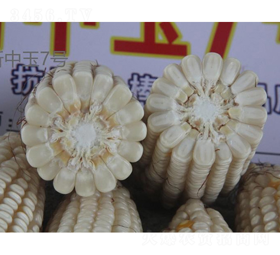 ������7̖(h��o)-���׷N��-���r(n��ng)�Ƽ�