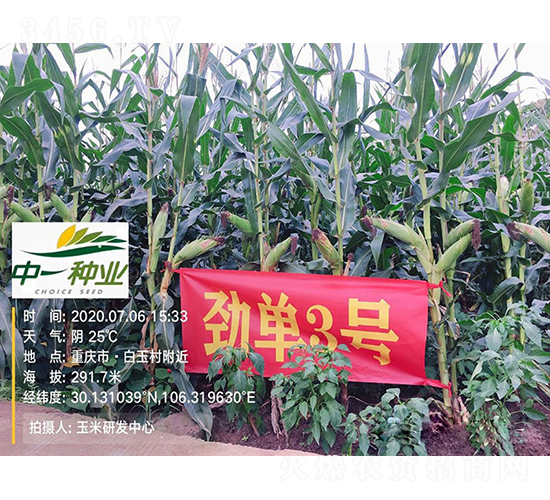 �ņ�3̖-���׷N��-���r(n��ng)�Ƽ�