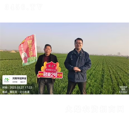 ����2̖(h��o)-С���N��-�d�A�N�I(y��)