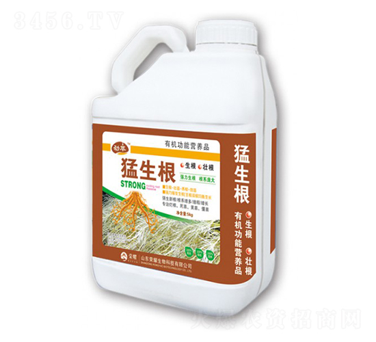 ������-�sҫ�r(n��ng)�I(y��)