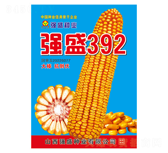 ��ʢ392-���׷N��-��ʢ�N�I(y��)