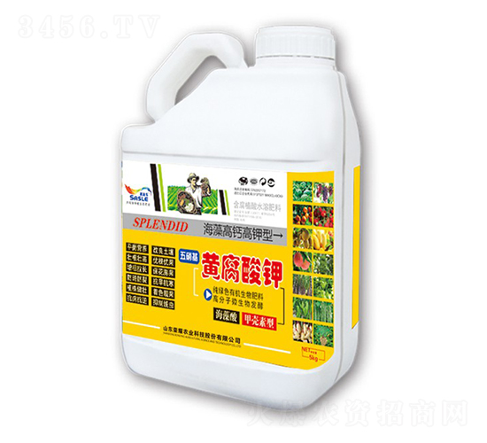 �������S�����-�sҫ�r(n��ng)�I(y��)