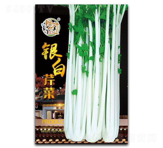 �y���۲˷N��-�����r�I(y��)