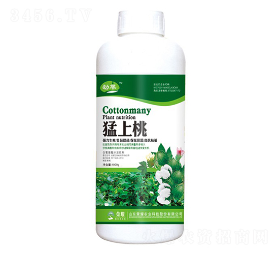 ������-����-�sҫ�r�I(y��)