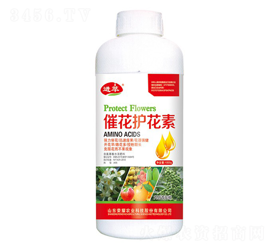 �߻��o(h��)����-�M(j��n)��-�sҫ�r(n��ng)�I(y��)