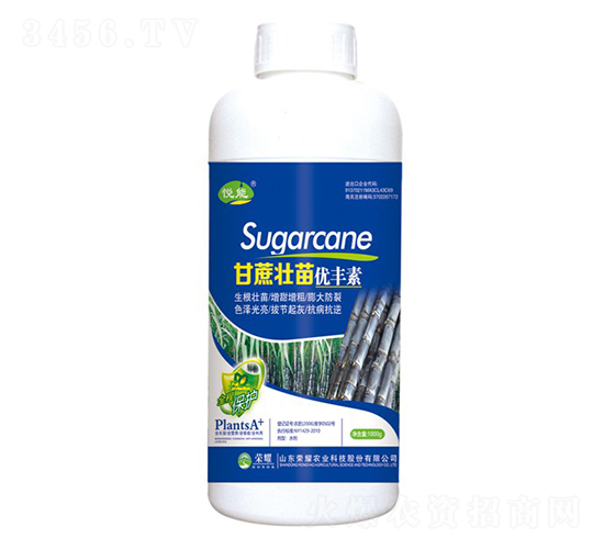 ������烞(y��u)�S�أ�ƿ��-����-�sҫ�r(n��ng)�I(y��)