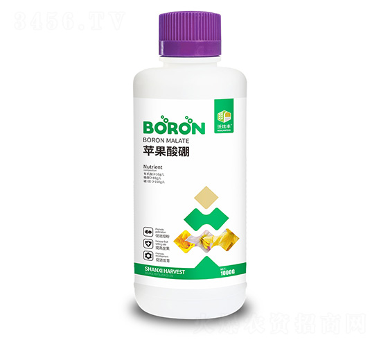 �O������-�����S-�ɿ����ʘI(y��)