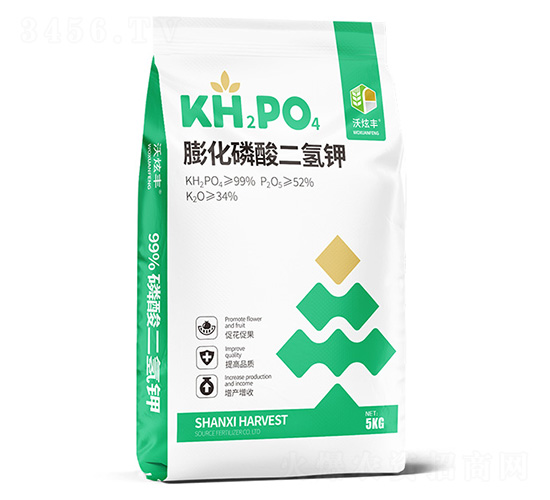 ����������-�����S-�ɿ����ʘI(y��)