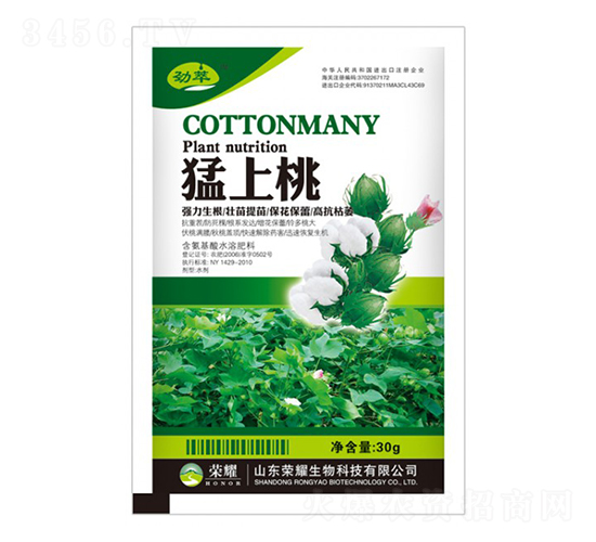 �����ң�����-����-�sҫ�r(n��ng)�I(y��)