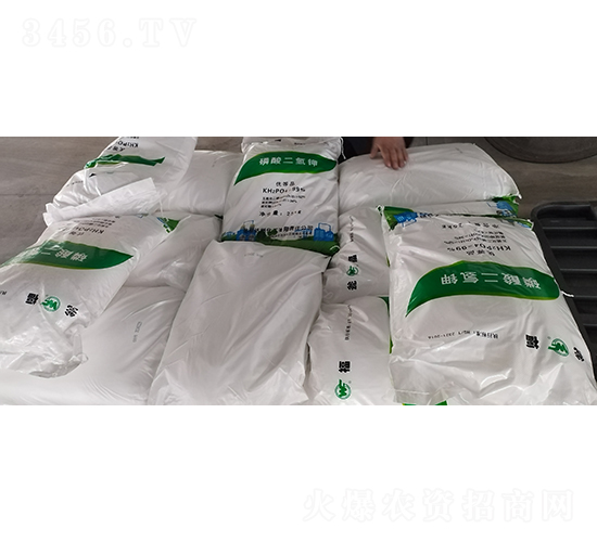 �������⛴��ӹ���4��