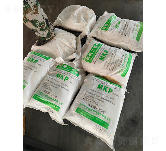 �������⛴��ӹ���3��