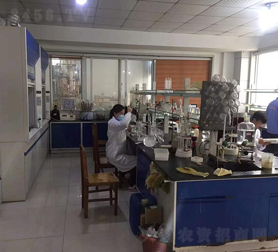 ���Ќ����