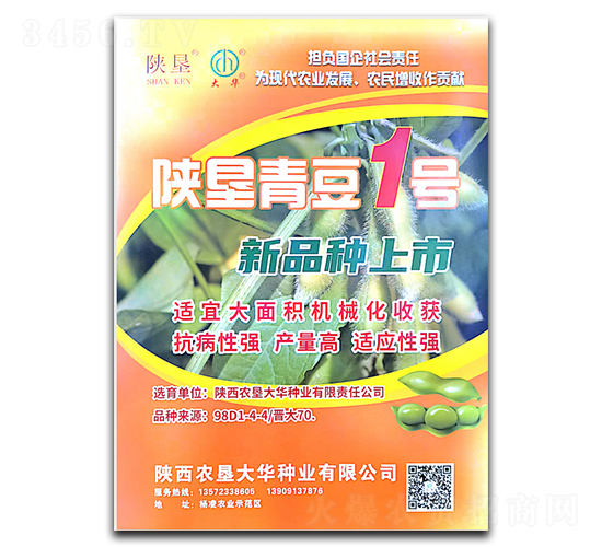 ꃉ��ඹ1̖-�󶹷N��-ꃉ����A