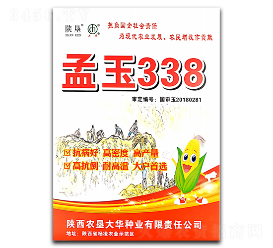 ����338-���׷N��-ꃉ����A