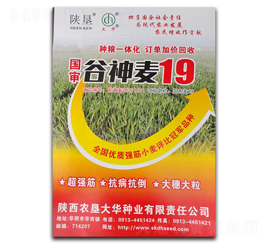 ������19-С���N��-ꃉ����A