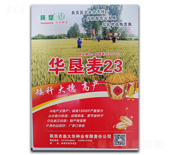 �A����23-С���N��-ꃉ����A