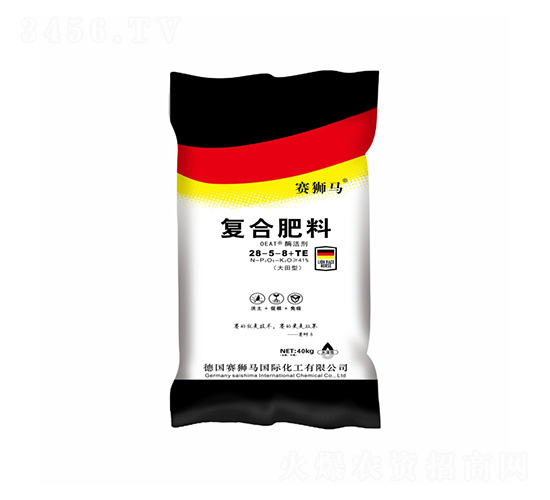 40kg�����͏ͺϷ���28-5-8+TE-ِ�{�R-�P���ѷʘI(y��)