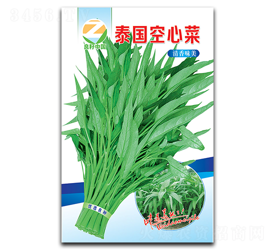 ̩��(gu��)���Ĳ�-���Ĳ˷N��-�����r(n��ng)�I(y��)