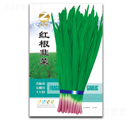 �t���²�-�²˷N��-�����r(n��ng)�I(y��)