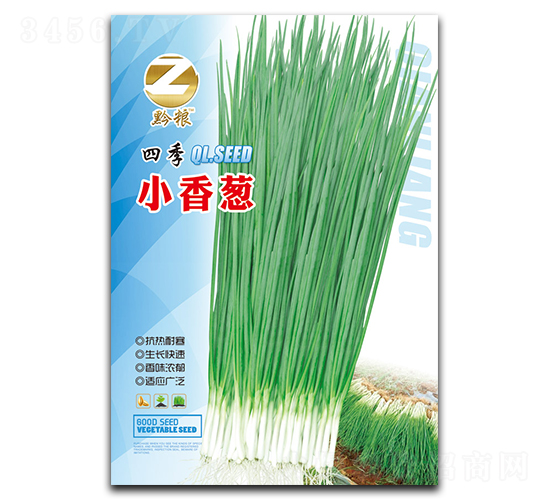 �ļ�С���[�N��-�����r(n��ng)�I(y��)