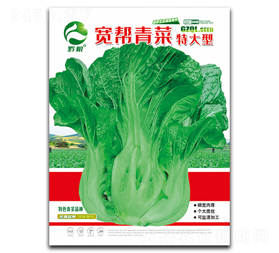 ������ˣ��ش��ͣ�-��˷N��-�����r(n��ng)�I(y��)