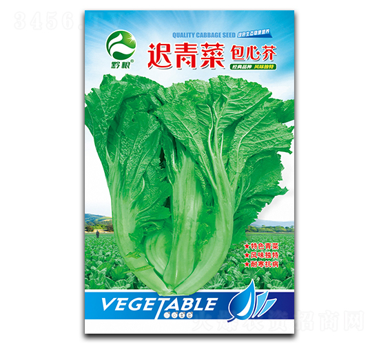 �t��˰��Ľ�N��-�����r(n��ng)�I(y��)