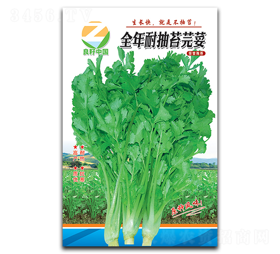 ȫ���ͳ�̦ܾݴ-��˷N��-�����r(n��ng)�I(y��)