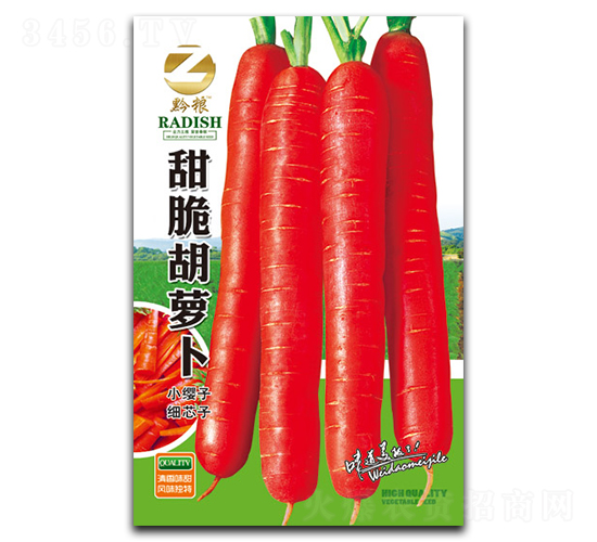 �����}���N��-�����r(n��ng)�I(y��)