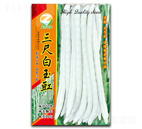 ���߰������N��-�����r(n��ng)�I(y��)