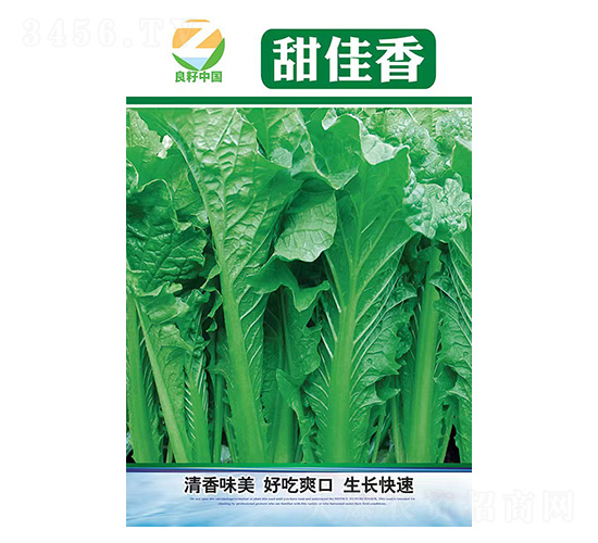 �ײ˷N��-�����-�����r(n��ng)�I(y��)