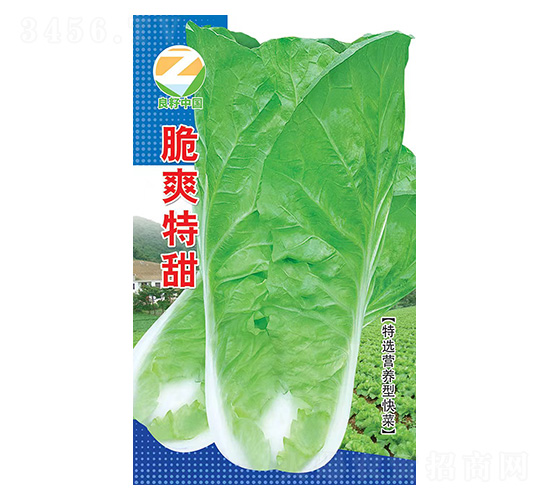 �ײ˷N��-��ˬ����-�����r(n��ng)�I(y��)