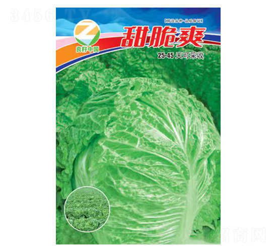 �ײ˷N��-���ˬ-�����r(n��ng)�I(y��)