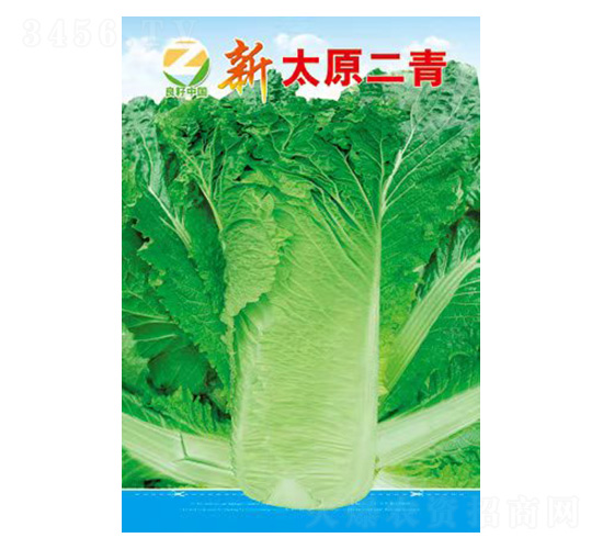 �ײ˷N��-��̫ԭ����-�����r(n��ng)�I(y��)