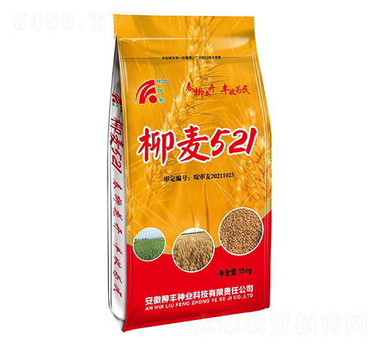 ����521С���N��-���S�N�I(y��)