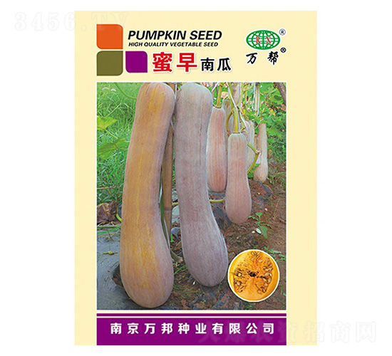 �����Ϲ�-�f��N�I(y��)