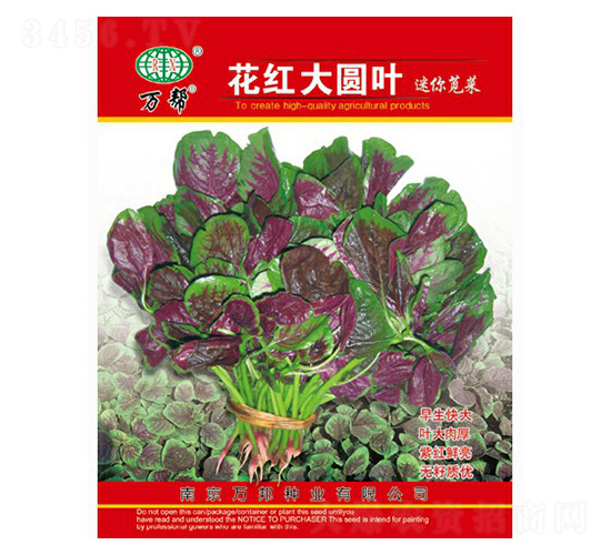 ���t��A�~�����{�˷N��-�f��N�I(y��)