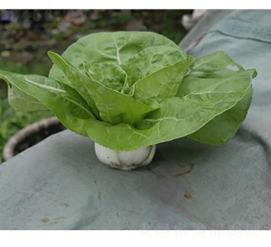 ����һ̖�๣�˷N��-�f��N�I(y��)