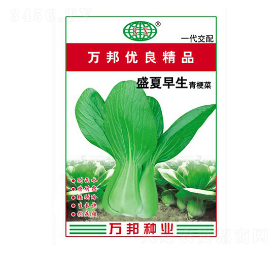 ʢ�������๣�˷N��-�f��N�I(y��)