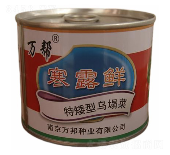 ��¶�r�ذ��͞�����-�����˷N��-�f��N�I(y��)