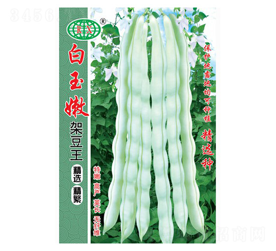 �����ۼܶ����ļ����N��-�f��N�I(y��)